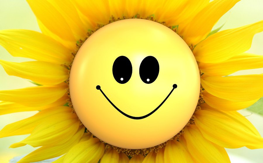 Прогноз синоптиков: в выходные установится тропическая жара - Литва и страны Балтии