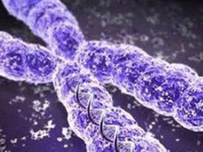 Такая вот история с географией... - Наука и здоровье