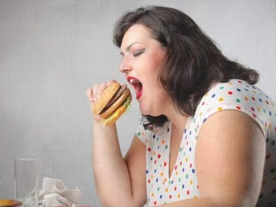 Три лучших диеты 21 века - Наука и здоровье