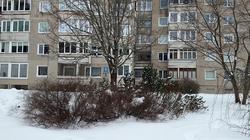 От анонимного письма до Конституционного суда: финал истории улицы Тарибу