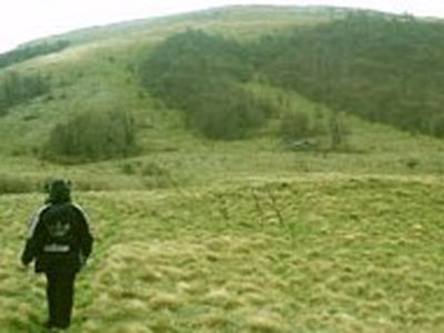 Полезная для здоровья нагрузка – сто шагов в минуту - Наука и здоровье