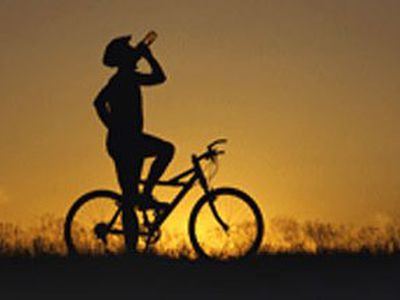 В Латвии пьяные водители стали притворяться велосипедистами - Хобби, отдых и развлечения