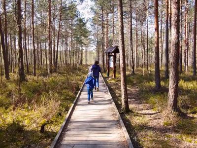 В Висагинасе стартовал проект по развитию природных маршрутов и туристической инфраструктуры - В Висагинасе