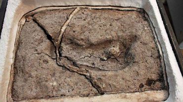 В Чили найдены древнейшие в Америке следы человека