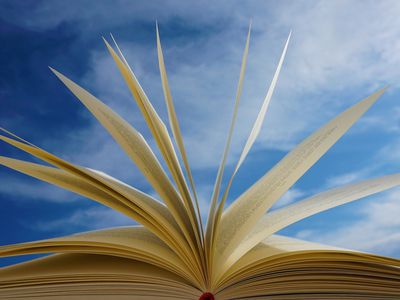 Д. Стапонкуте в Санкт-Петербурге названа лучшей зарубежной писательницей - В Мире