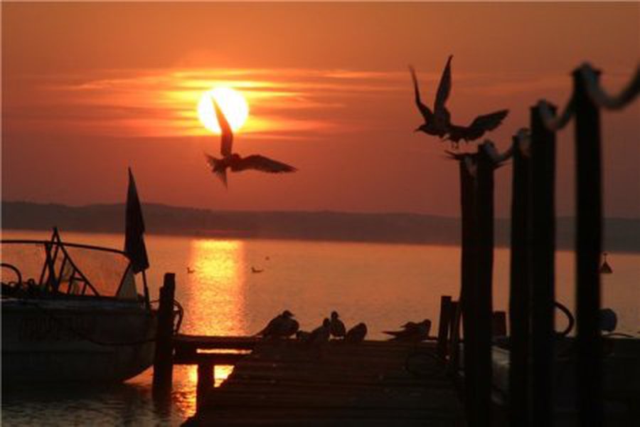 Жители Литвы предпочитают отдых в Белоруссии  - Хобби, отдых и развлечения