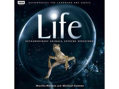 СССР — США: Уникальный эксперимент образованности                 - Наука и здоровье