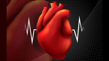 А. Дулькис: каждый пятый человек старшего возраста подвержен риску развития сердечной недостаточности