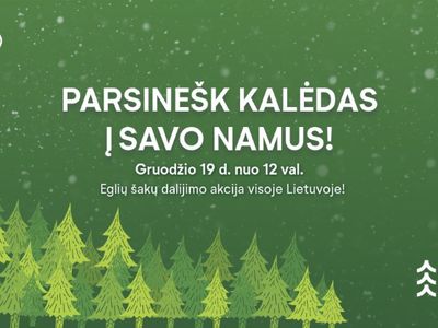 Лесное управление Литвы приглашает на акцию "Принеси Рождество в свой дом" 19 декабря - В Висагинасе