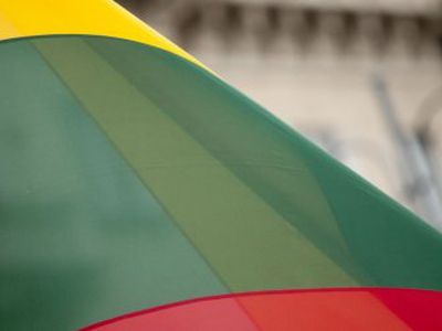Что ожидает Литву в 2013 году? - Литва и страны Балтии