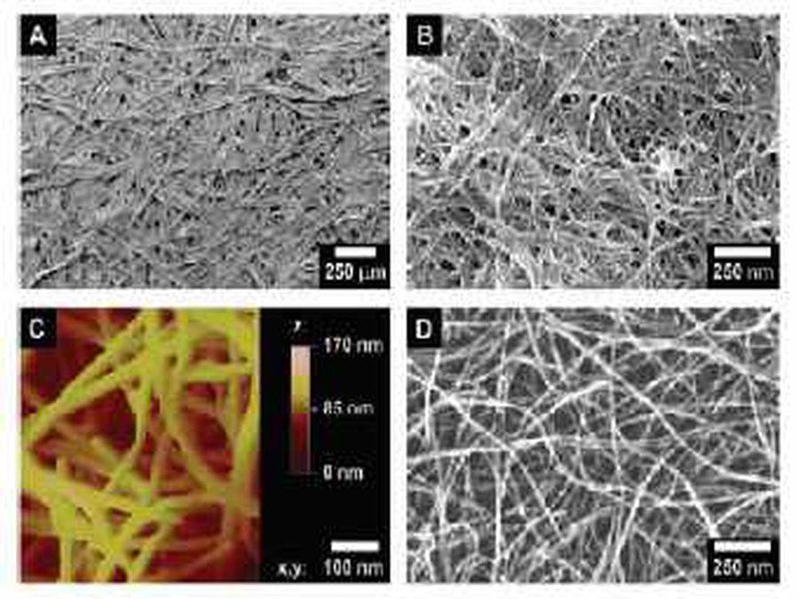 Создан материал с уникальным поведением при растяжении - Наука и здоровье