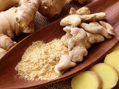 Имбирь: польза, вред, противопоказания - Наука и здоровье