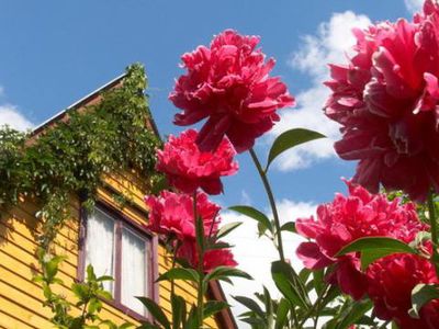 БЕЗ ЦЕНЗУРЫ: Утренняя нега - Без цензуры