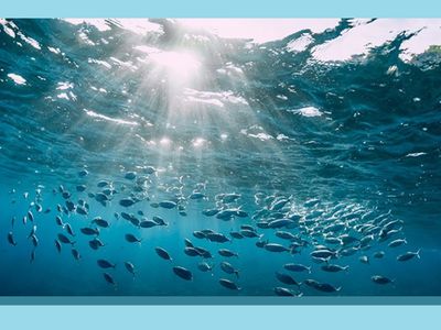 Подписан договор о реализации стратегии рыболовства - В Висагинасе