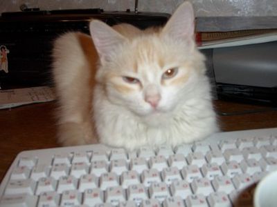 Комментировать могут все, но ...                                                 - Новости TTS