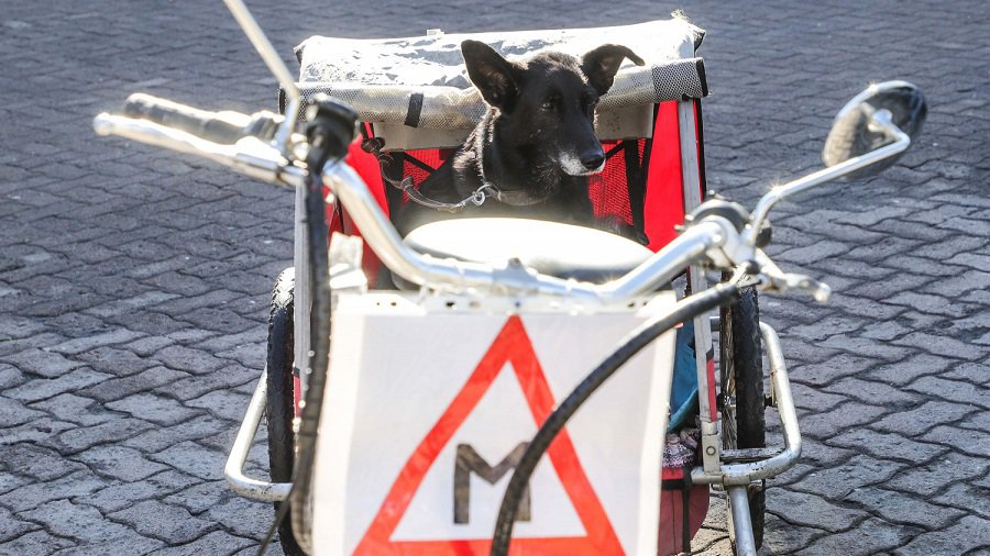 Правительство ослабляет карантинные ограничения - Литва и страны Балтии