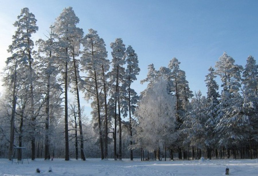 Крещенские морозы пришли в Висагинас - В Висагинасе