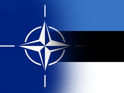 НАТО создаст кибер-полигон в Эстонии - Литва и страны Балтии