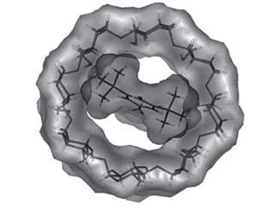 Переключатель размером с молекулу позволит создавать 500000-гигабайтные микросхемы - Наука и здоровье