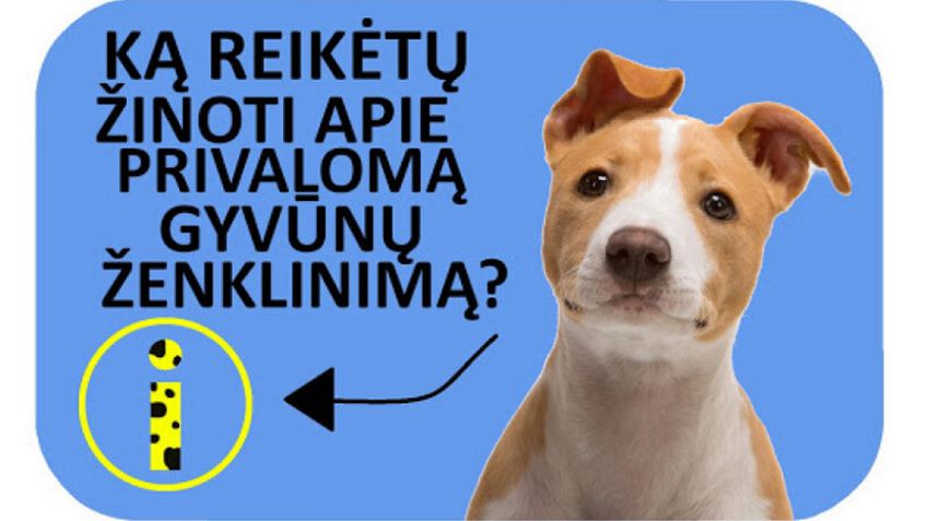 Nuo š. m. gegužės 1 d. – privalomas šunų ir kačių ženklinimas