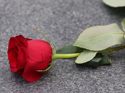 Спасибо за помощь и поддержку - Благодарность