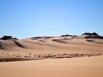 В пустыне Сахара второй год подряд выпал снег - В Мире