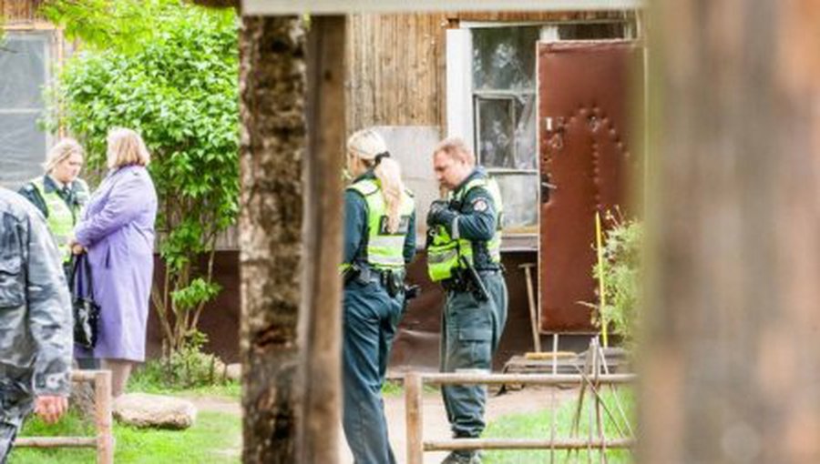 Antradienį paryčiais didžiulės policijos pajėgos iškratė taborą - Įvykiai ir kriminalas