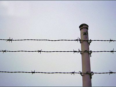 «Шутник», подменивший фотографии на сайте «Одноклассники», отделался условным сроком - IT новости