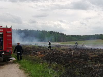 Пожар на месте будущего квартала индивидуальной застройки (видео) - В Висагинасе