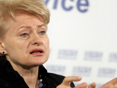 Грибаускайте заявила о желании стать президентом ещё на 4 года - Литва и страны Балтии