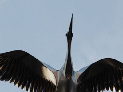 Когда Виолета Дилене приступит к исполнению обязанности главврача? - В Висагинасе