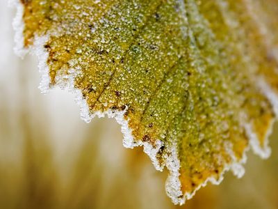 Синоптики: погода будет переменчивой - Литва и страны Балтии