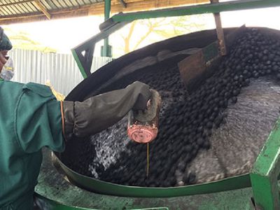 Носом чуять. Фекалии стали выгодным бизнесом - Это интересно