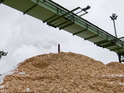 Šiauliai suka galvą, ką daryti su it grybais dygstančiomis biokuro katilinėmis - Energetika