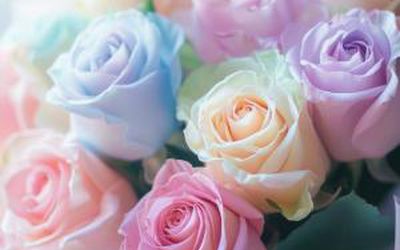 Поздравляем с Международным днем женской солидарности! - Поздравления