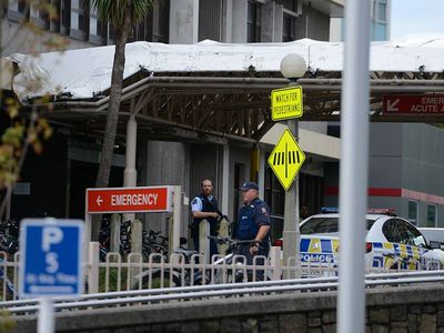 Власти Австралии заблокируют восемь сайтов за публикацию видео стрельбы в Крайстчерче - В Мире