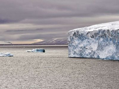 Ученые зафиксировали ускорение таяния ледников - В Мире