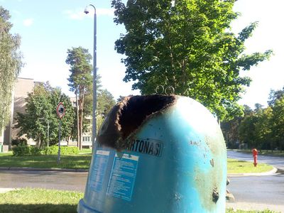 Сожжен еще один контейнер. Напротив камеры видеонаблюдения - В Висагинасе