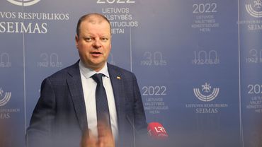 S. Skvernelis: jeigu parlamentui tinka, kad tokia Seimo pirmininkė vadovauja, nematau problemos