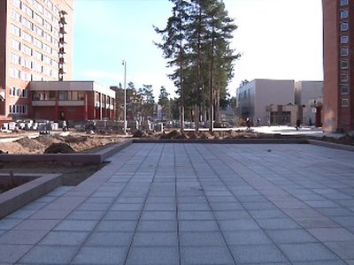 Почему прекратились работы на аллее? - В Висагинасе