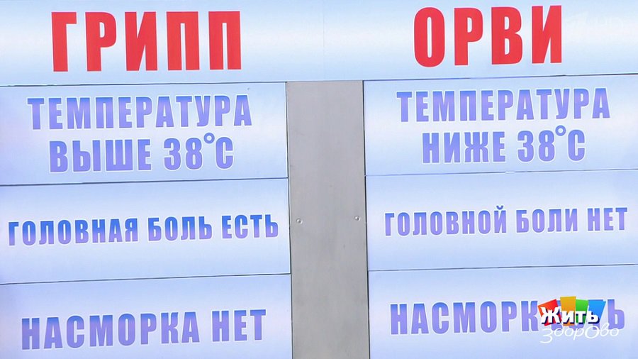 В Каунасе объявлена эпидемия гриппа - Литва и страны Балтии