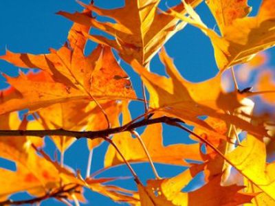 Savaitgalis bus saulėtas ir gražus - Lietuva ir Baltijos šalys