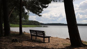 Valstybinės reikšmės miškų vidinės miškotvarkos projekto parengimas