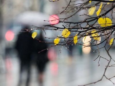 
Žiema į Lietuvą neskuba: savaitgalį lis - Lietuva ir Baltijos šalys