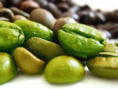 Зеленый кофе: друг фигуры или враг здоровья? - Наука и здоровье