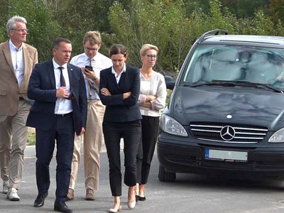 Советник премьер-министра: в Висагинасе - большой потенциал (видео) - В Висагинасе