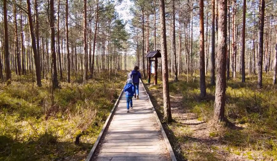 В Висагинасе стартовал проект по развитию природных маршрутов и туристической инфраструктуры - В Висагинасе