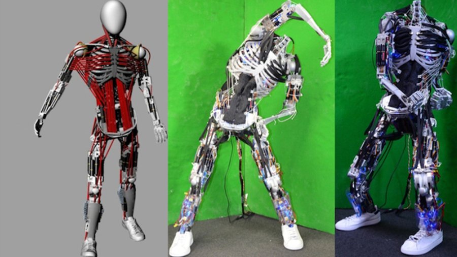 Человекоподобные роботы по сложности подбираются к человеку (видео) - Наука и здоровье