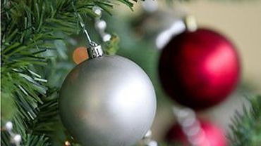 Цикл рождественских и новогодних мероприятий «Встречи»                   
