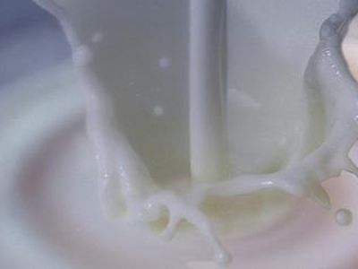 Литовские фермеры вновь будут поставлять в Россию молочную продукцию - Литва и страны Балтии